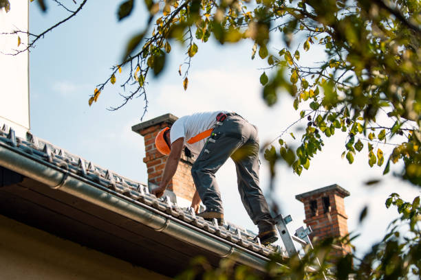 Roof Coating Services in Junction City, OR