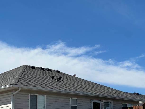 Best Rubber Roofing (EPDM, TPO)  in Junction City, OR